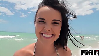 Dillion Harper Explora O Mundo Do Sexo Anal Neste Vídeo Quente