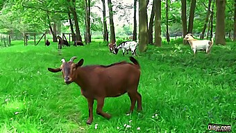 राक्षस बूढ़े आदमी को एक युवा किशोरी से एक मीठा और गीला ब्लोजॉब मिलता है।