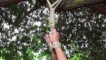 Solo Bdsm: Una Nalgada Desnuda Al Aire Libre