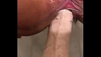 Masturbation With Dildo In The Bathroom