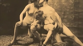 Vintage Threesome With Hairy Pussies And Retro Charm