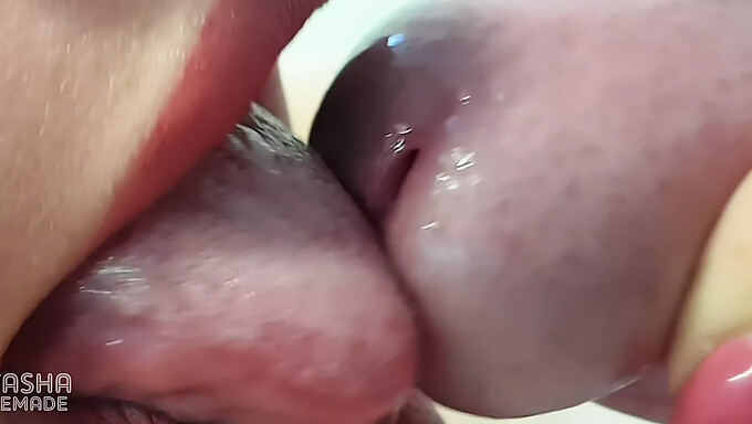 Professionele Slet Geeft Een Super Close-Up Blowjob