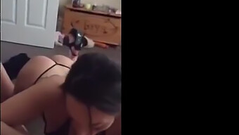 Nova Garota Faz Boquete Em Vídeo Pornô Amador